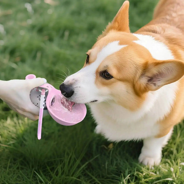 Stainless-Steel-Water-Bottle-Outdoor-Dog-Walking-Folding-Portable-Water-Cup-With-Lanyard-Hook-LeakProof-Dog.jpg